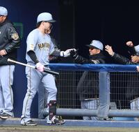 ４回、先制ソロを放ち生還する浜田を迎える藤川監督（撮影・山口登）