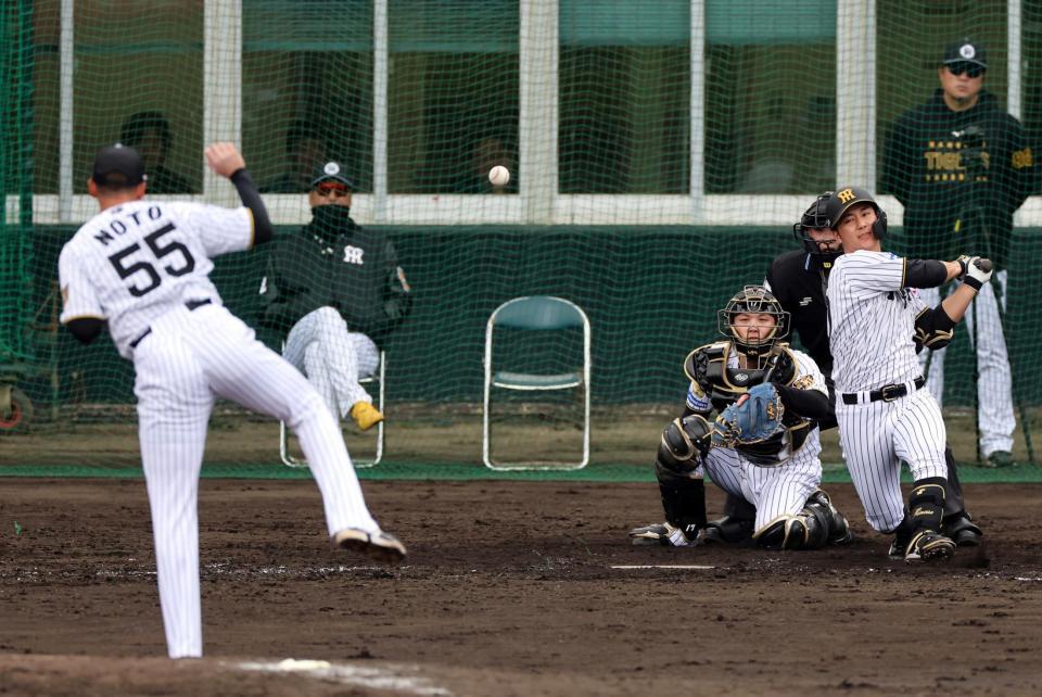 　シート打撃で井坪を投ゴロに打ち取る能登（撮影・山口登）