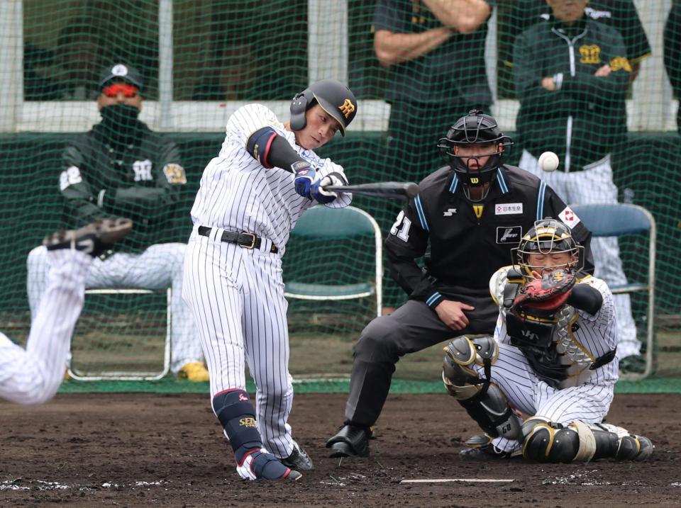 　左前打を放つ木浪（撮影・山口登）