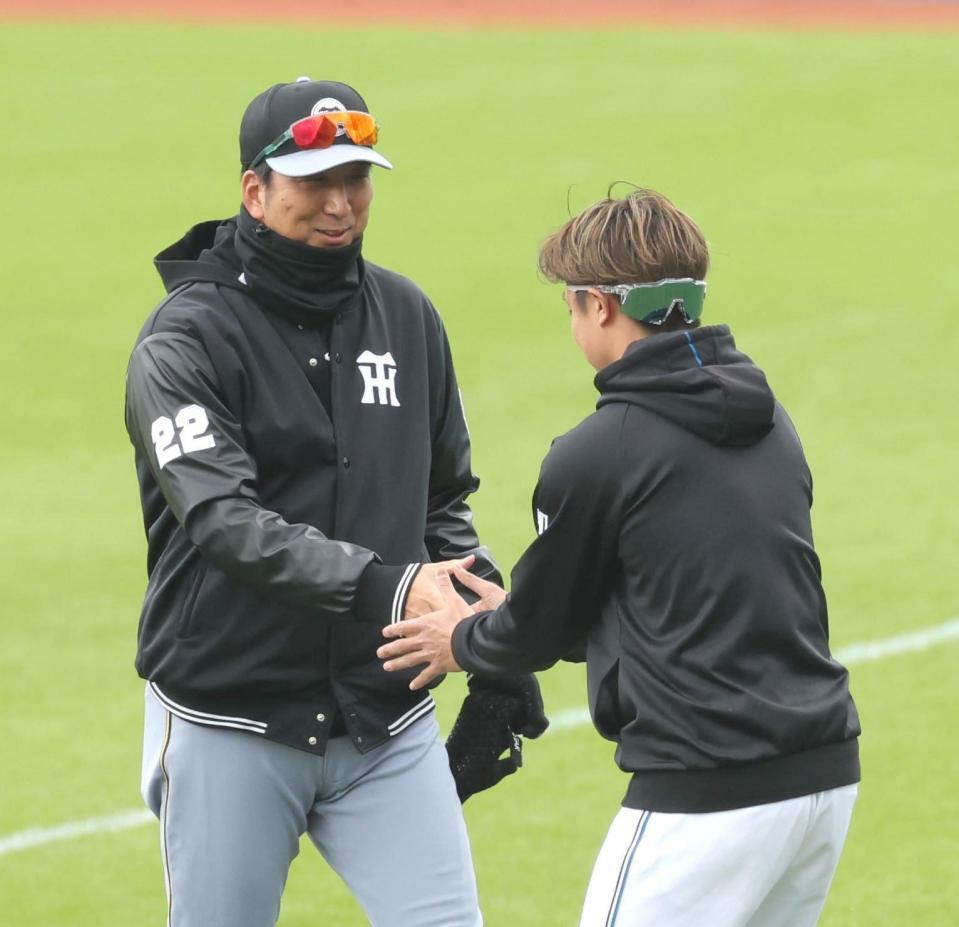 日本ハム・島本浩也（右）と握手する阪神・藤川球児監督＝エナジックスタジアム名護（撮影・西岡正）