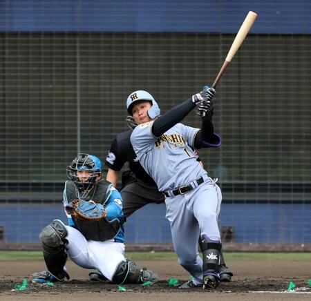 ３回、右飛に倒れる森下（撮影・山口登）