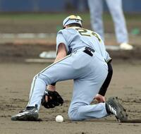 　４回、細川の打球を後逸するディベイニー（撮影・山口登）