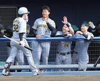 　４回、先制ソロを放った浜田（左）を迎える（右から）佐藤輝、ディベイニー、森下（撮影・西岡正）