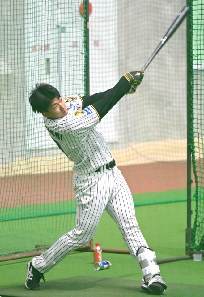 　打撃練習する立石（撮影・飯室逸平）