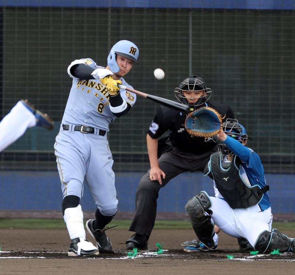 １回、中飛に倒れる佐藤輝（撮影・山口登）