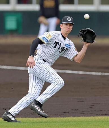 シートノックで中継カットに入る阪神・キャム・ディベイニー＝宜野座（撮影・立川洋一郎）