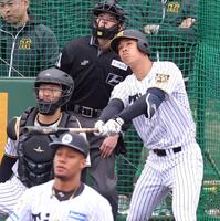 ライブＢＰに登板した阪神・ダウリ・モレッタ（手前）から安打性の打球を放つ阪神・岡城快生＝宜野座（撮影・立川洋一郎）