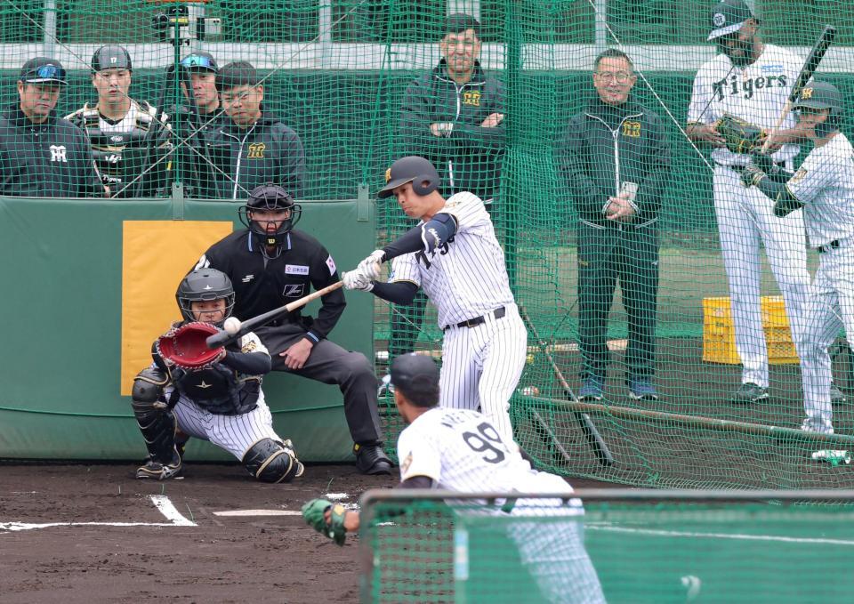 ライブＢＰに登板した阪神・ダウリ・モレッタ（手前）から安打性の打球を放つ阪神・岡城快生＝宜野座（撮影・立川洋一郎）