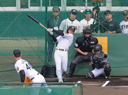 ライブＢＰでラグズデールと対戦する高寺（撮影・立川洋一郎）