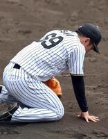 グラウンドに座り込む石井（撮影・山口登）