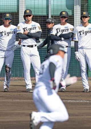 並んで腕組みをし、ベースランニングを見守る佐藤輝（中央左）と森下（同右）＝撮影・立川洋一郎