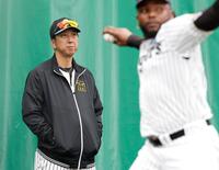 ドリス（右）の投球を見る藤川監督（撮影・西田忠信）