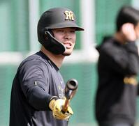 打撃練習をする佐藤輝（撮影・田中太一）