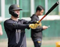 打撃練習をする佐藤輝（撮影・田中太一）