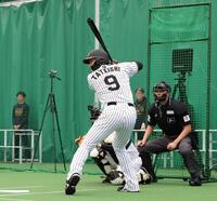 ブルペンの打席に立つ立石（撮影・西田忠信）