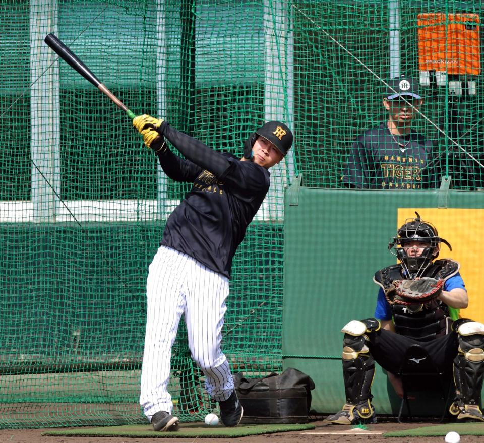 　フリー打撃で快音を響かせる佐藤輝（撮影・立川洋一郎）