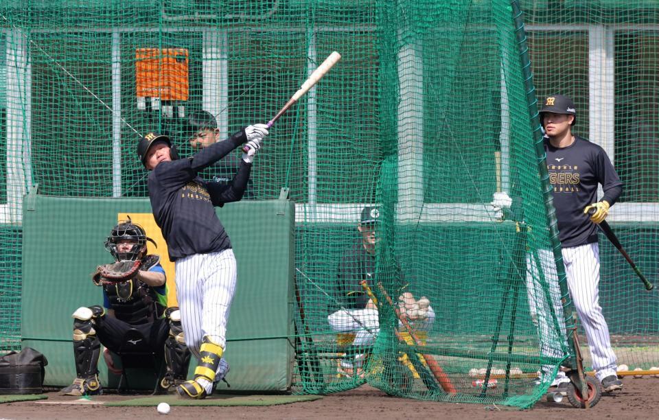 佐藤輝（右）とフリー打撃で打ち込む森下（撮影・立川洋一郎）