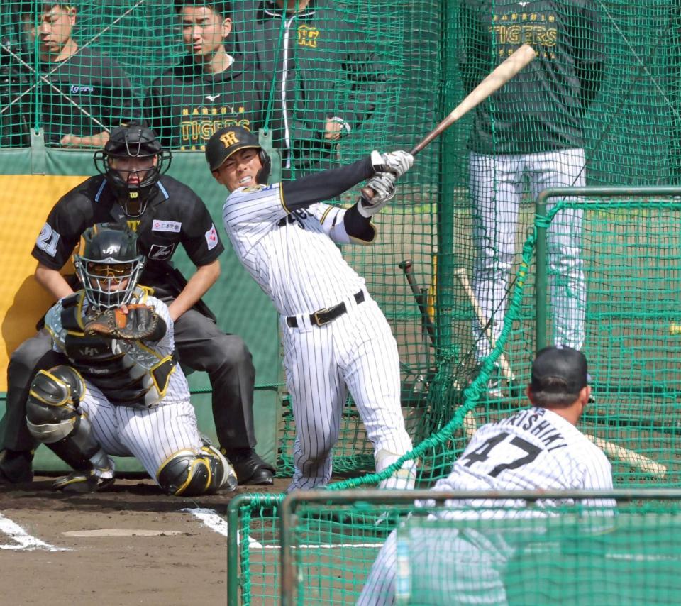 　ライブＢＰで桐敷（４７）と対戦する谷端（撮影・立川洋一郎）