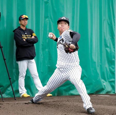 藤川監督（左）が見守る中、ブルペン投球する村上（撮影・西田忠信）