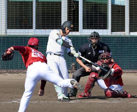 ５回、右前へ適時打を放つ高寺（撮影・立川洋一郎）