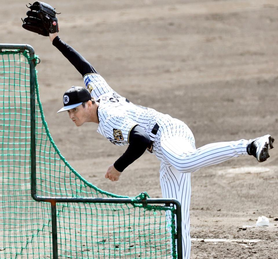 　ライブＢＰで投げ込むルーカス（撮影・田中太一）
