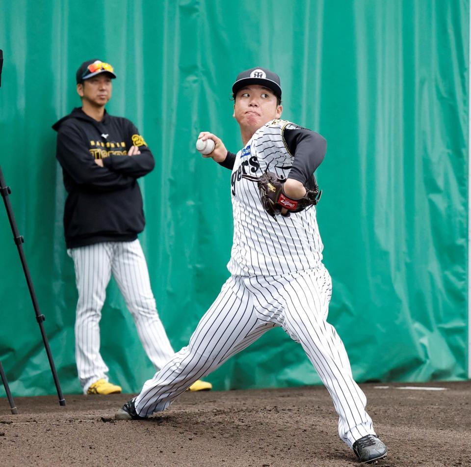 藤川監督（左）が見守る中、ブルペン投球する村上（撮影・西田忠信）