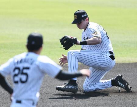 阪神　レギュラー争いでレフトは高寺が一歩リード　ショートはディベイニーが小幡の守備力を上回る打撃を見せないと