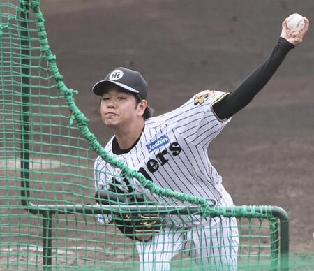 ライブＢＰで投げる高橋（撮影・田中太一）