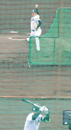 ライブＢＰに登板し、打者３人に対し投げ込んだ西勇（撮影・坂部計介）