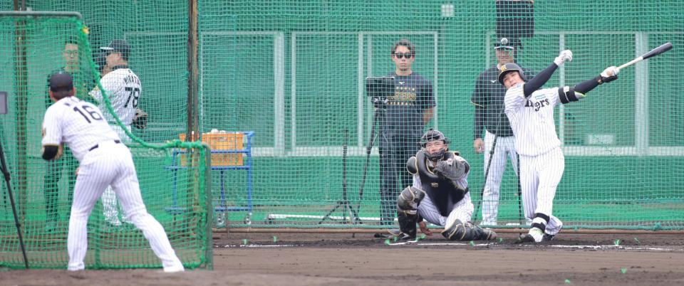 ライブＢＰに登板し、栄枝を相手に投げ込む西勇（１６）＝撮影・坂部計介