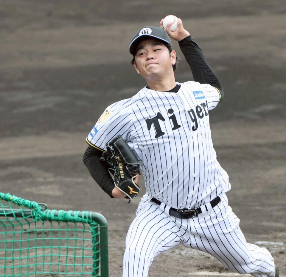 　ライブＢＰで投げる高橋（撮影・田中太一）