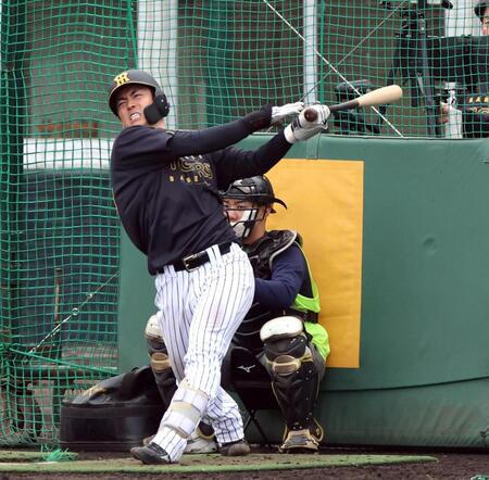 阪神・ドラ２谷端　軸を中心にコンパクトに回転するスイングで目を引く打撃【評論家の眼】