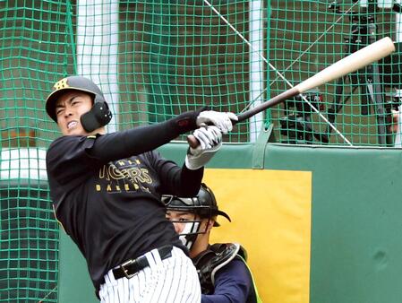　打撃練習をする谷端（撮影・山口登）