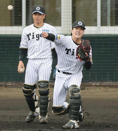 　シートノックで二塁へ送球する伏見。左は梅野