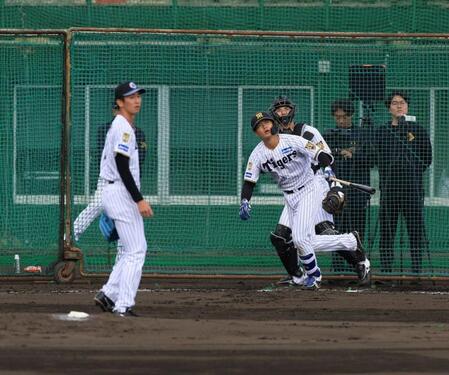 シート打撃で今朝丸（左）から本塁打を放った町田（撮影・坂部計介）