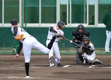 阪神・元山　先輩・中野に待った！連続猛アピール　シート打撃でマルチ安打