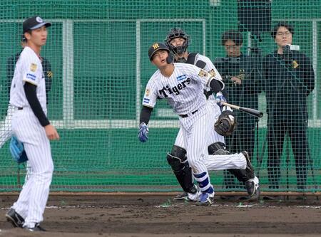 阪神・町田 会心弾「感触よかった」14日に実戦復帰、万全アピール 負傷後の下半身強化が奏功「効果あった」
