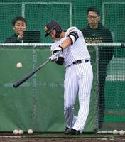 屋外でのフリー打撃を再開した立石（撮影・坂部計介）