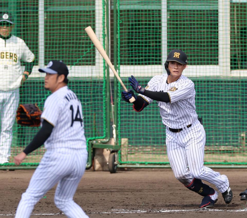 シート打撃で右中間に二塁打を放つ木浪（投手は岩貞）＝撮影・山口登