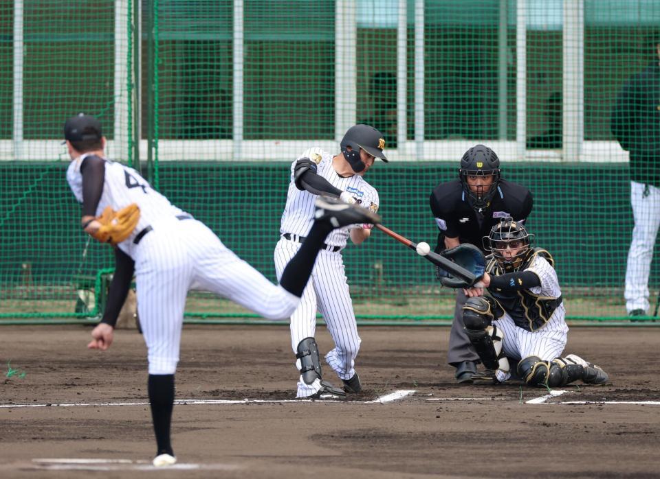 シート打撃で右前打を放つ元山（投手・ラグズデール、捕手・梅野）＝撮影・山口登