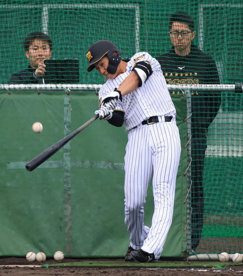 屋外でのフリー打撃を再開した立石（撮影・坂部計介）