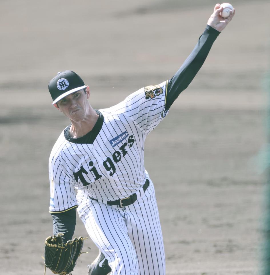 ライブＢＰで投げるルーカス（撮影・田中太一）