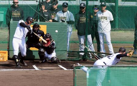 ライブＢＰで阪神・前川右京は阪神イーストン・ルーカスから左前打を放つ＝宜野座（撮影・山口登）