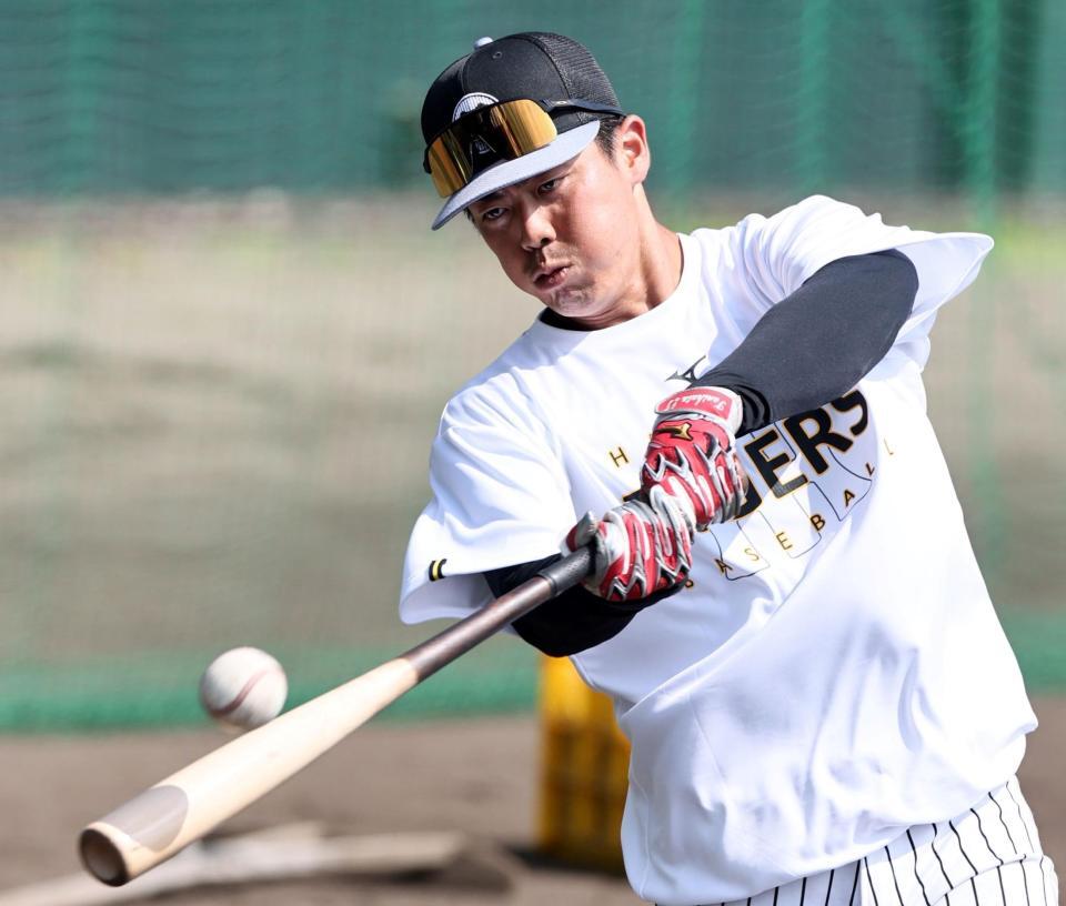 打撃練習をする谷端（撮影・田中太一）