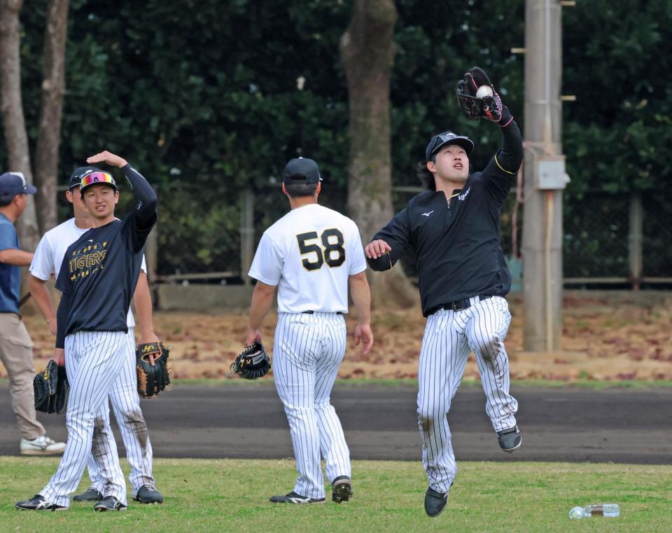 逆光の状態でのノックで打球をキャッチする浜田（撮影・立川洋一郎）