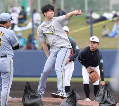 北谷のマウンドを確認する才木（撮影・西田忠信）