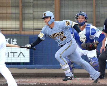 ３回表阪神１死三塁、二ゴロに終わる谷端（撮影・立川洋一郎）