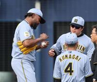 ８回、ドリスは藤森の打球を右手に受ける（撮影・山口登）