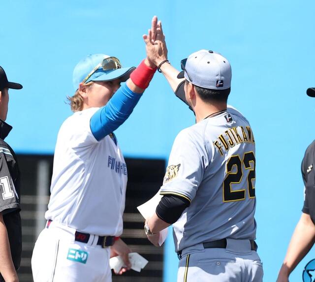 メンバー表交換時に、藤川監督（右）とハイタッチする新庄監督（撮影・西田忠信）