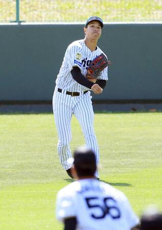 　シートノックを受ける岡城